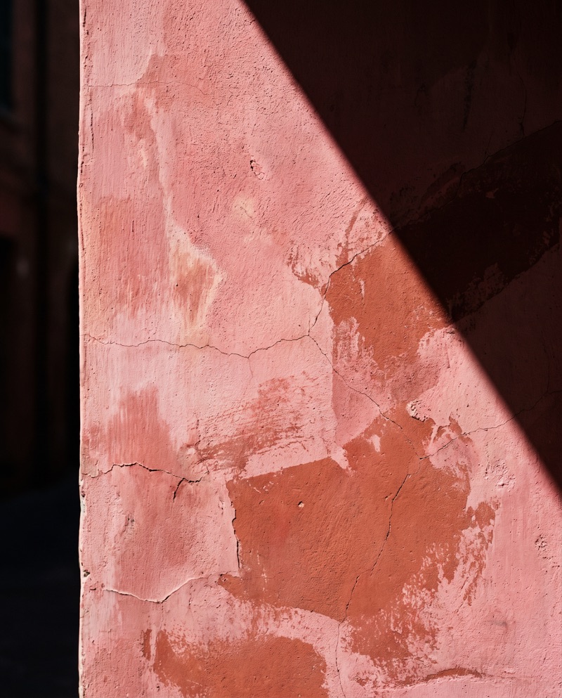 Worn pigment on a wall in Jaipur, late evening light across the surface.